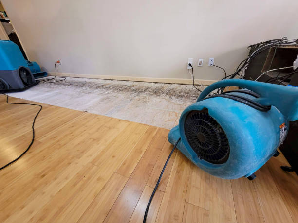 Professional Water Removal technician working in Dunkirk, NY